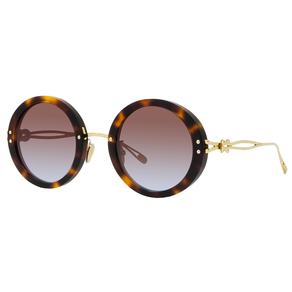 Eyewear - Fred Paris