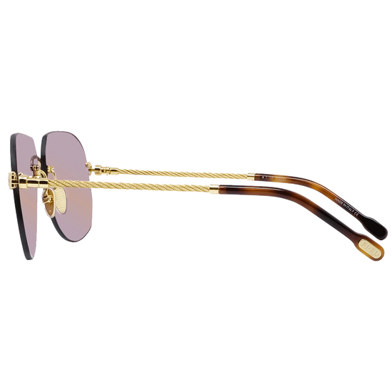 Force 10  선글라스