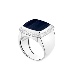 빵드 쉬크르 혹스 아이  화이트 골드 링