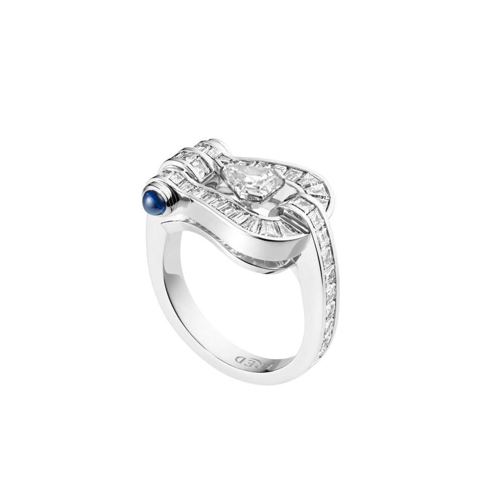 Force 10 Duality ring