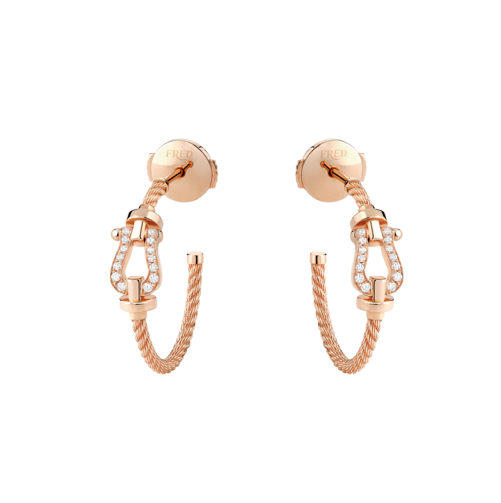 Force 10 earrings