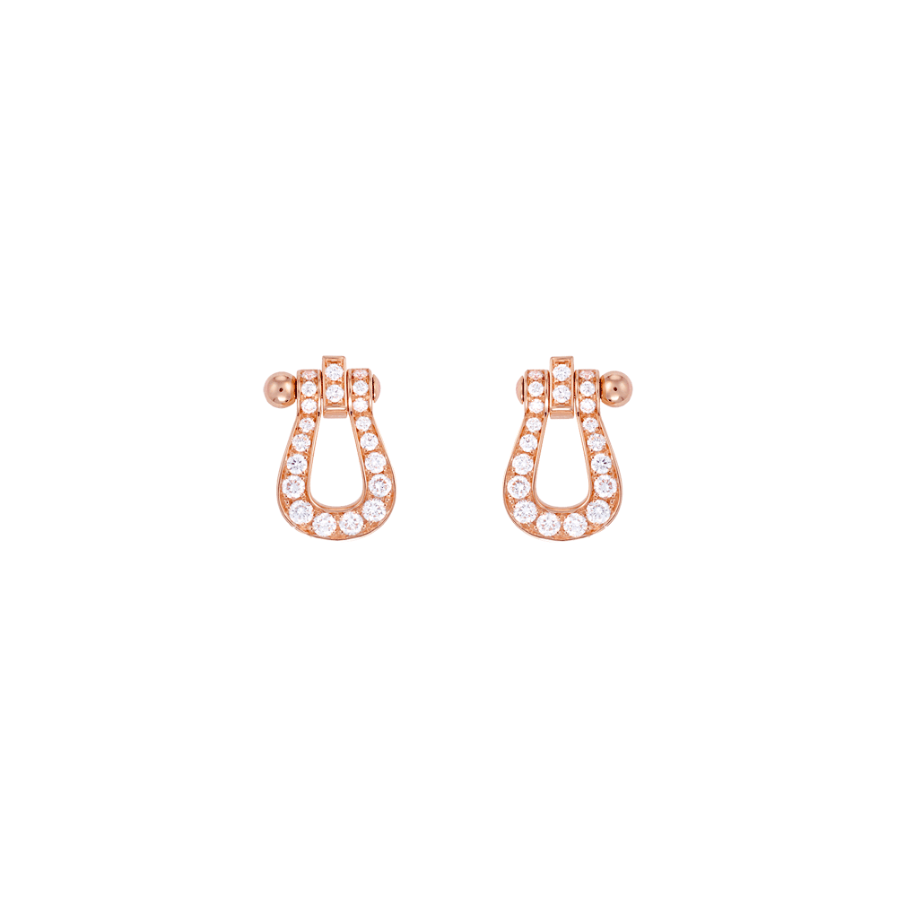 Force 10 earrings