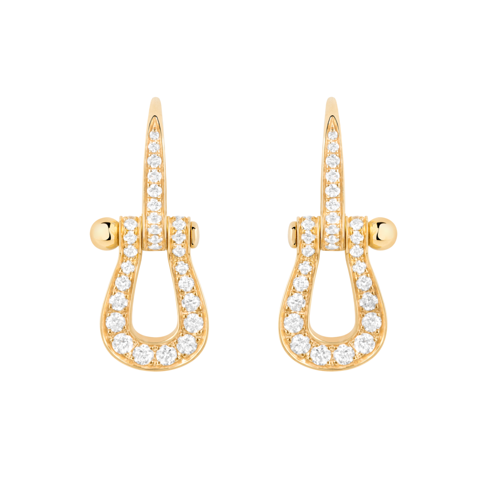 Force 10 earrings