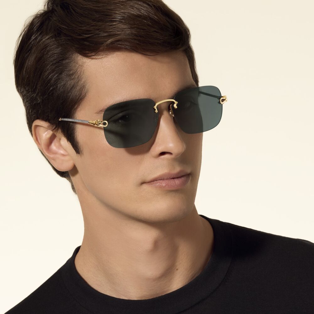 Force 10 sunglasses