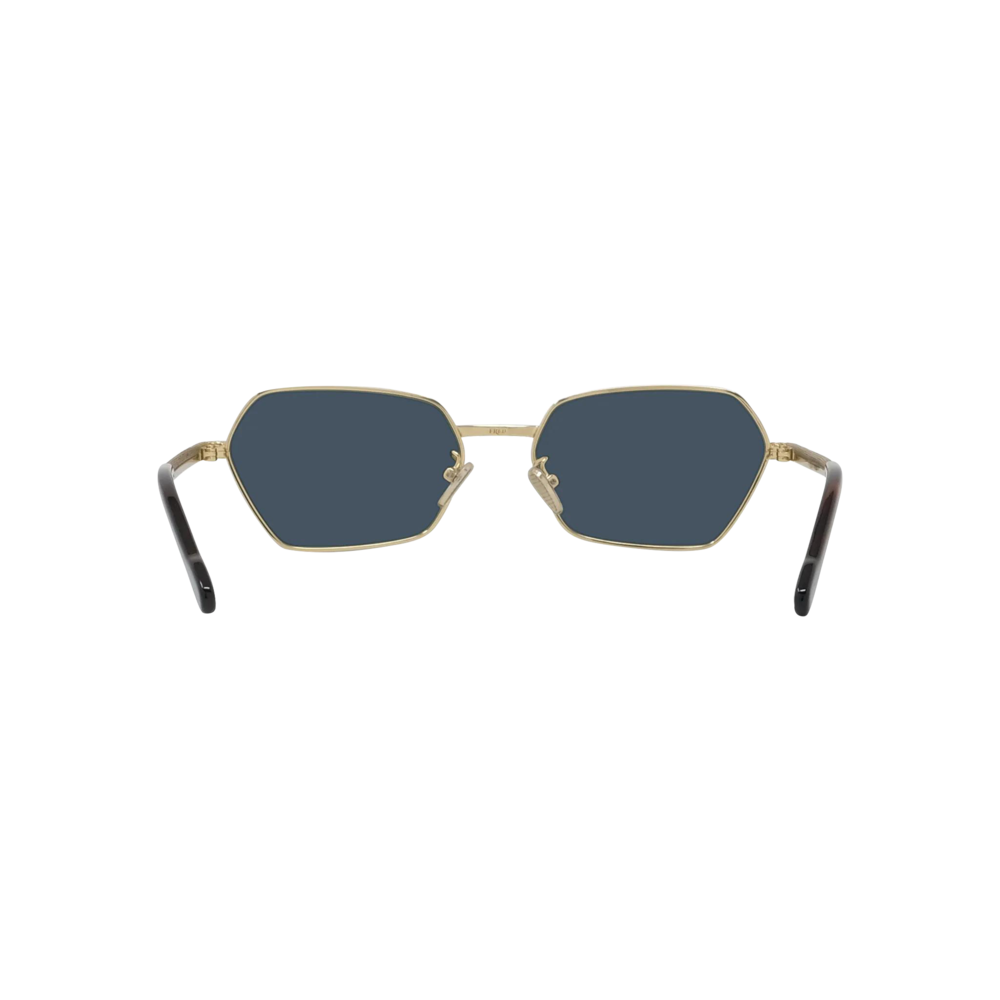 Force 10 sunglasses