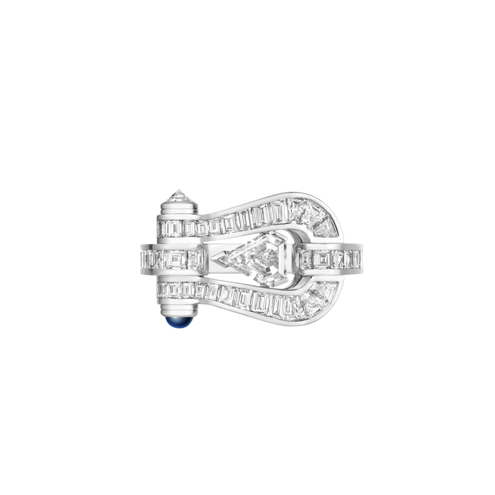 Force 10 Duality ring