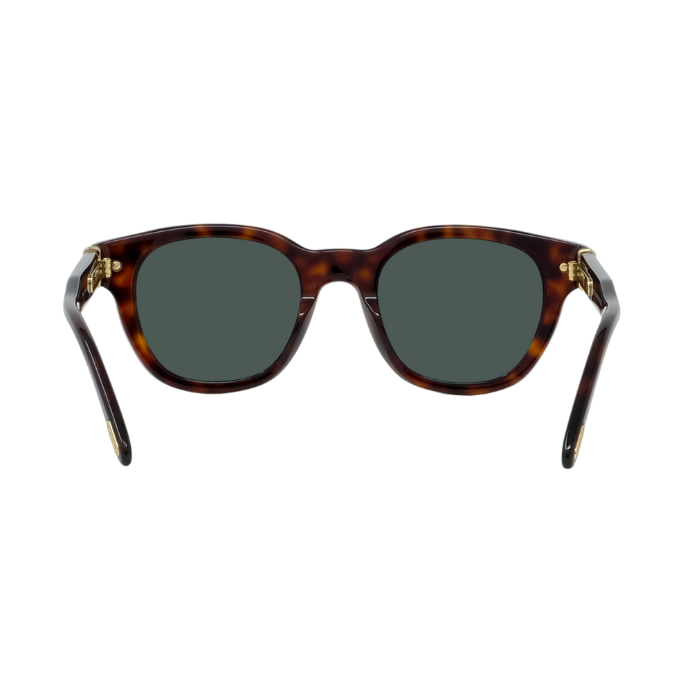 FRED FG40009U unisex フレームチタニウム サングラス FRED FG40009U unisex フレームチタニウム サングラスブラック