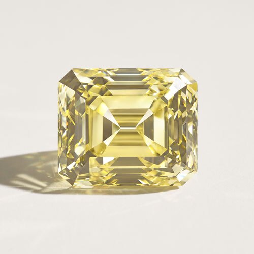 Sites Fredinternationalwebsite Site